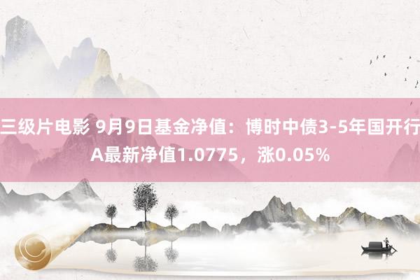 三级片电影 9月9日基金净值:博时中债3-5年国开行A最新净值1.0775,涨0.05%