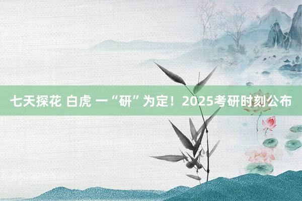 七天探花 白虎 一“研”为定!2025考研时刻公布