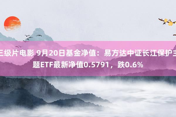 三级片电影 9月20日基金净值:易方达中证长江保护主题ETF最新净值0.5791,跌0.6%