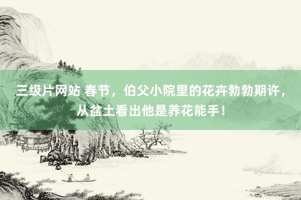 三级片网站 春节,伯父小院里的花卉勃勃期许,从盆土看出他是养花能手!