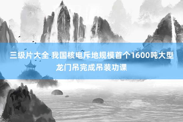 三级片大全 我国核电斥地规模首个1600吨大型龙门吊完成吊装功课