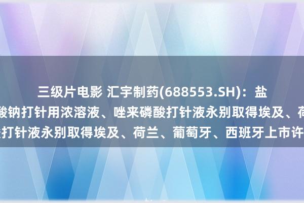 三级片电影 汇宇制药(688553.SH):盐酸多柔比星打针液、丙戊酸钠打针用浓溶液、唑来磷酸打针液永别取得埃及、荷兰、葡萄牙、西班牙上市许可