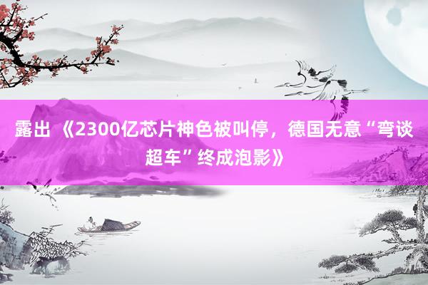 露出 《2300亿芯片神色被叫停,德国无意“弯谈超车”终成泡影》