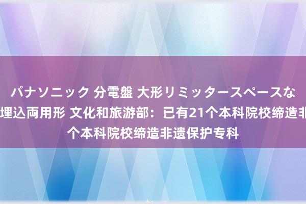 パナソニック 分電盤 大形リミッタースペースなし 露出・半埋込両用形 文化和旅游部:已有21个本科院校缔造非遗保护专科
