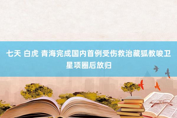 七天 白虎 青海完成国内首例受伤救治藏狐教唆卫星项圈后放归