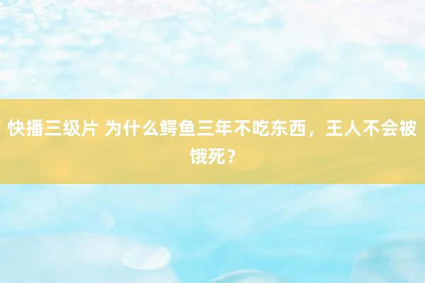 快播三级片 为什么鳄鱼三年不吃东西，王人不会被饿死？
