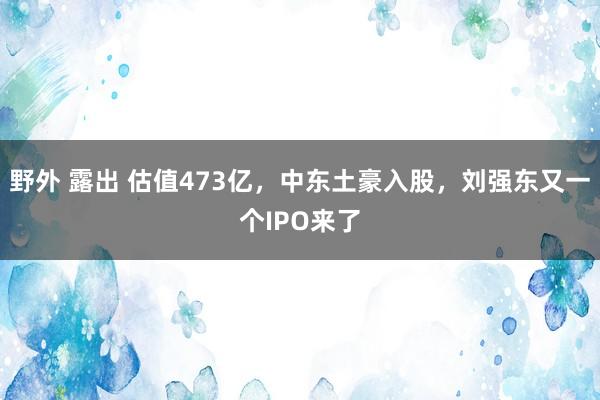 野外 露出 估值473亿，中东土豪入股，刘强东又一个IPO来了
