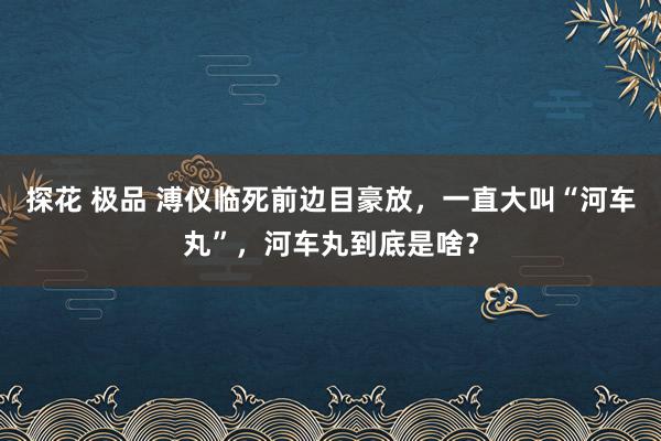 探花 极品 溥仪临死前边目豪放,一直大叫“河车丸”,河车丸到底是啥?