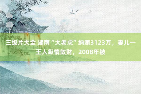 三级片大全 湖南“大老虎”纳贿3123万,妻儿一王人纵情敛财,2008年被