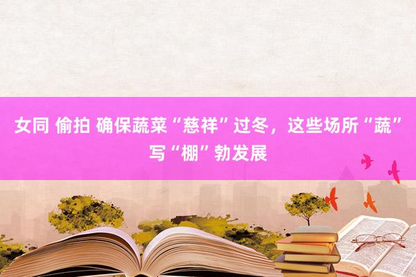 女同 偷拍 确保蔬菜“慈祥”过冬,这些场所“蔬”写“棚”勃发展