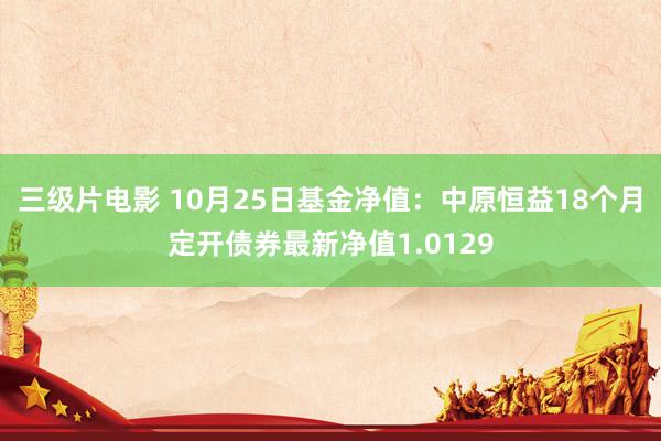 三级片电影 10月25日基金净值:中原恒益18个月定开债券最新净值1.0129