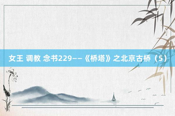 女王 调教 念书229——《桥塔》之北京古桥(5)