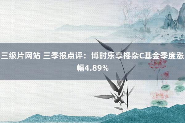 三级片网站 三季报点评：博时乐享搀杂C基金季度涨幅4.89%