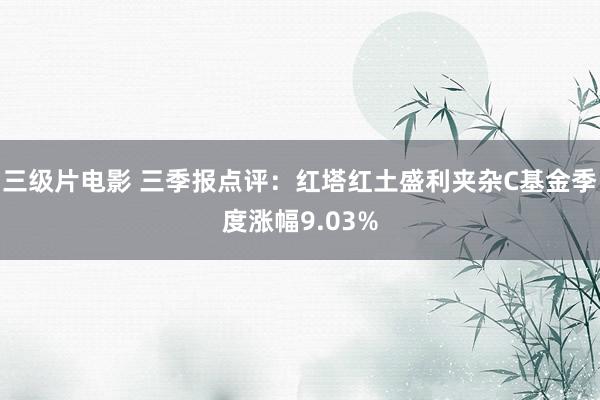 三级片电影 三季报点评:红塔红土盛利夹杂C基金季度涨幅9.03%