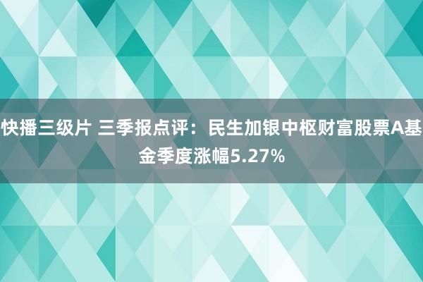快播三级片 三季报点评:民生加银中枢财富股票A基金季度涨幅5.27%