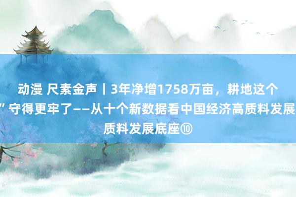 动漫 尺素金声丨3年净增1758万亩，耕地这个“命脉”守得更牢了——从十个新数据看中国经济高质料发展底座⑩
