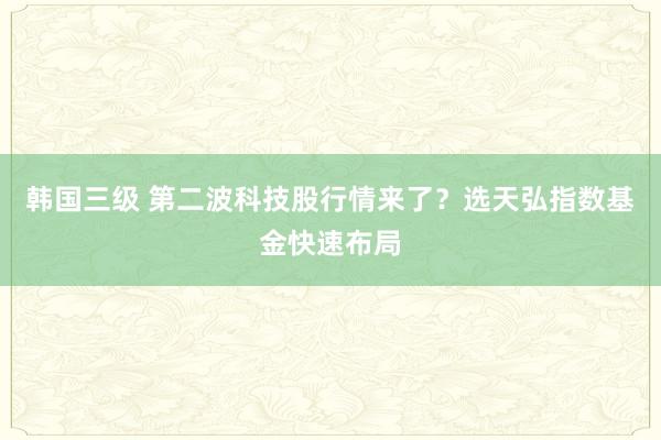 韩国三级 第二波科技股行情来了?选天弘指数基金快速布局