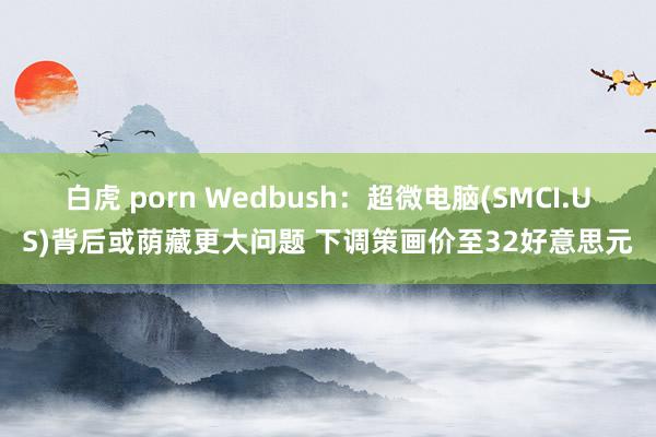 白虎 porn Wedbush:超微电脑(SMCI.US)背后或荫藏更大问题 下调策画价至32好意思元