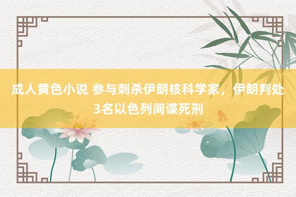 成人黄色小说 参与刺杀伊朗核科学家,伊朗判处3名以色列间谍死刑