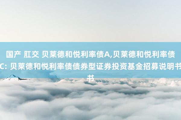 国产 肛交 贝莱德和悦利率债A,贝莱德和悦利率债C: 贝莱德和悦利率债债券型证券投资基金招募说明书