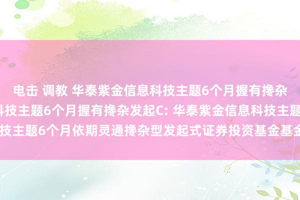 电击 调教 华泰紫金信息科技主题6个月握有搀杂发起A,华泰紫金信息科技主题6个月握有搀杂发起C: 华泰紫金信息科技主题6个月依期灵通搀杂型发起式证券投资基金基金居品府上提要更新