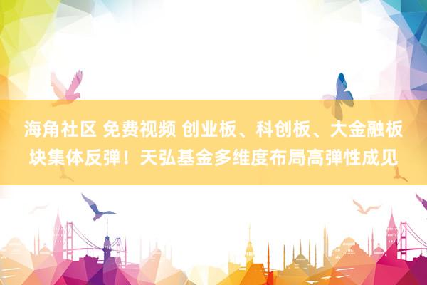 海角社区 免费视频 创业板、科创板、大金融板块集体反弹!天弘基金多维度布局高弹性成见