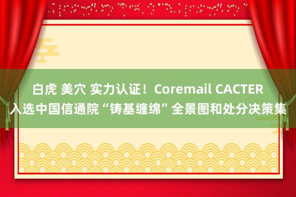 白虎 美穴 实力认证!Coremail CACTER入选中国信通院“铸基缠绵”全景图和处分决策集