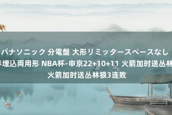パナソニック 分電盤 大形リミッタースペースなし 露出・半埋込両用形 NBA杯-申京22+10+11 火箭加时送丛林狼3连败