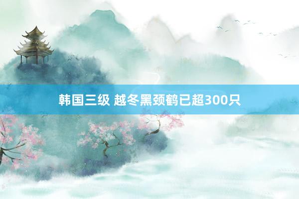 韩国三级 越冬黑颈鹤已超300只