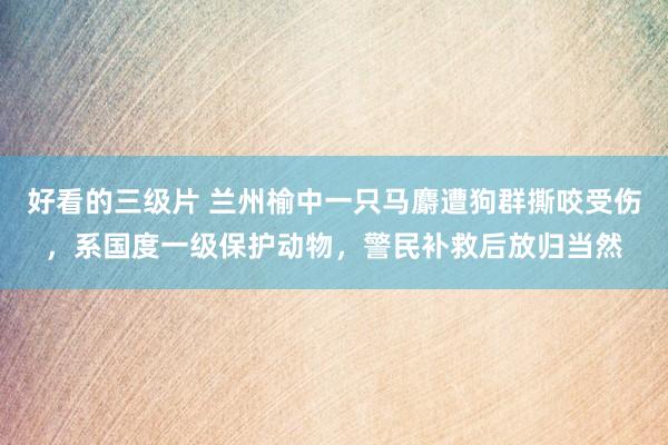 好看的三级片 兰州榆中一只马麝遭狗群撕咬受伤,系国度一级保护动物,警民补救后放归当然