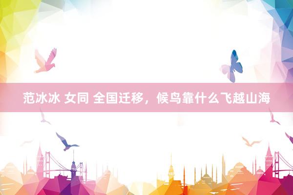 范冰冰 女同 全国迁移,候鸟靠什么飞越山海