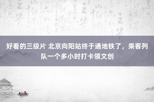 好看的三级片 北京向阳站终于通地铁了,乘客列队一个多小时打卡领文创
