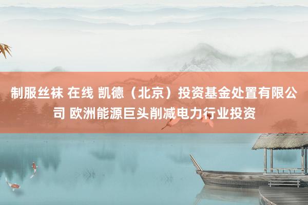 制服丝袜 在线 凯德(北京)投资基金处置有限公司 欧洲能源巨头削减电力行业投资