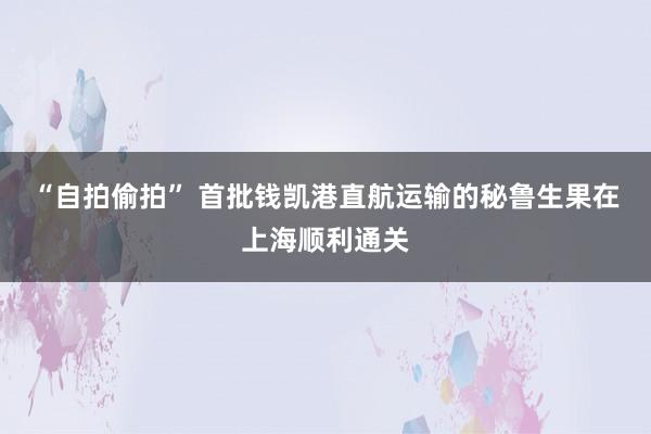 “自拍偷拍” 首批钱凯港直航运输的秘鲁生果在上海顺利通关