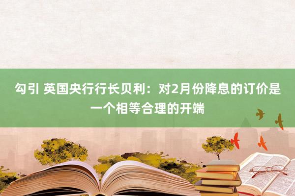 勾引 英国央行行长贝利:对2月份降息的订价是一个相等合理的开端