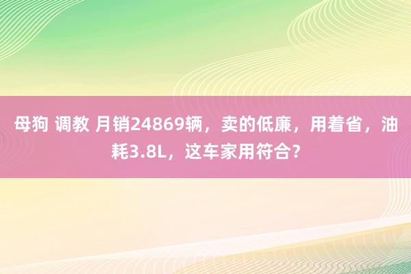 母狗 调教 月销24869辆,卖的低廉,用着省,油耗3.8L,这车家用符合?