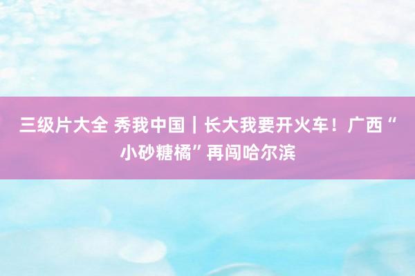 三级片大全 秀我中国｜长大我要开火车！广西“小砂糖橘”再闯哈尔滨
