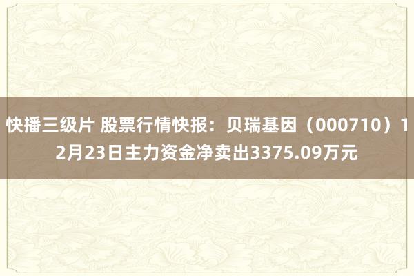 快播三级片 股票行情快报:贝瑞基因(000710)12月23日主力资金净卖出3375.09万元