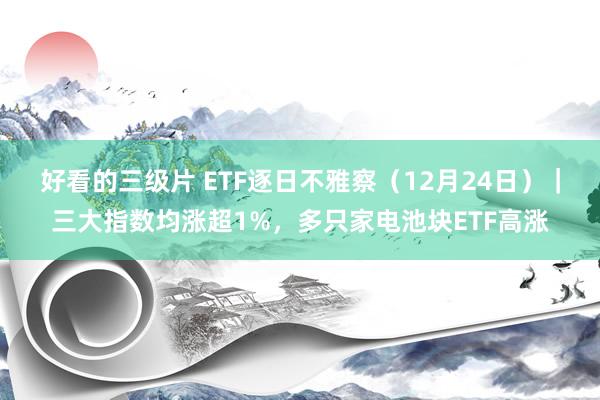 好看的三级片 ETF逐日不雅察(12月24日)|三大指数均涨超1%,多只家电池块ETF高涨