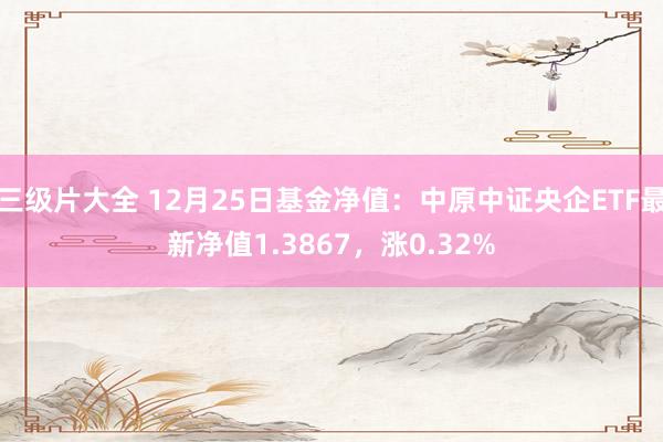 三级片大全 12月25日基金净值:中原中证央企ETF最新净值1.3867,涨0.32%