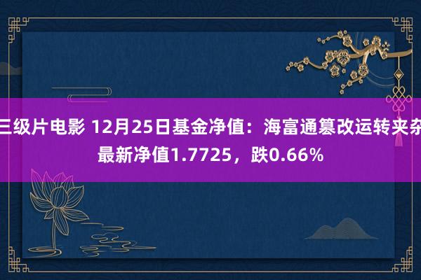 三级片电影 12月25日基金净值:海富通篡改运转夹杂最新净值1.7725,跌0.66%