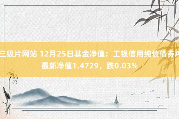 三级片网站 12月25日基金净值:工银信用纯债债券A最新净值1.4729,跌0.03%