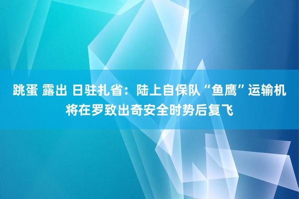 跳蛋 露出 日驻扎省：陆上自保队“鱼鹰”运输机将在罗致出奇安全时势后复飞