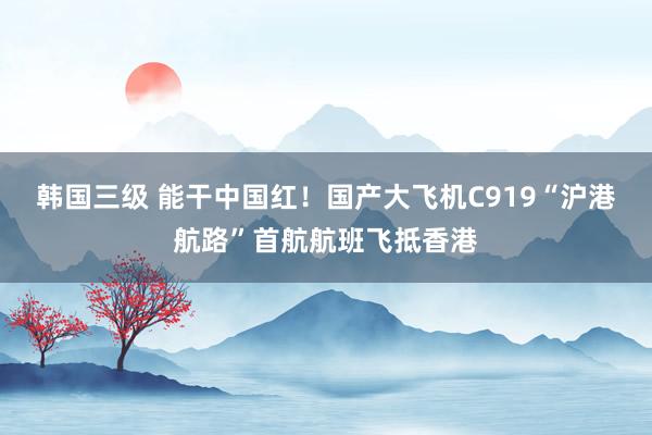 韩国三级 能干中国红！国产大飞机C919“沪港航路”首航航班飞抵香港
