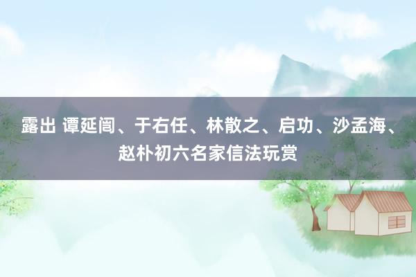 露出 谭延闿、于右任、林散之、启功、沙孟海、赵朴初六名家信法玩赏