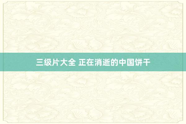 三级片大全 正在消逝的中国饼干