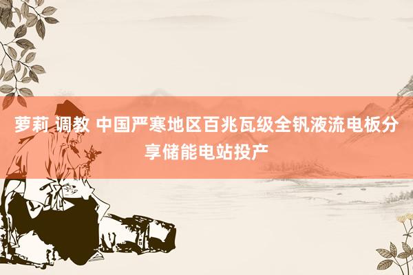 萝莉 调教 中国严寒地区百兆瓦级全钒液流电板分享储能电站投产