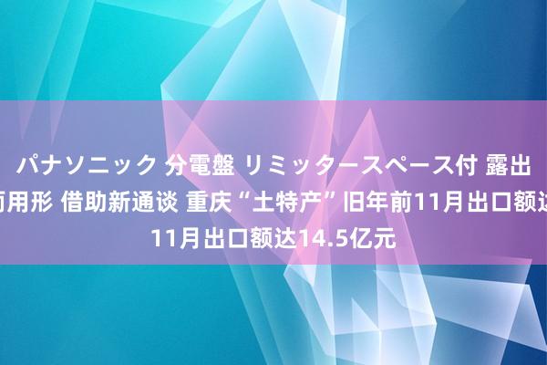 パナソニック 分電盤 リミッタースペース付 露出・半埋込両用形 借助新通谈 重庆“土特产”旧年前11月出口额达14.5亿元