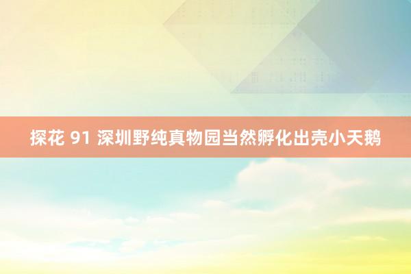 探花 91 深圳野纯真物园当然孵化出壳小天鹅