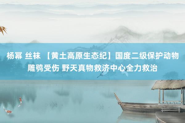 杨幂 丝袜 【黄土高原生态纪】国度二级保护动物雕鸮受伤 野天真物救济中心全力救治